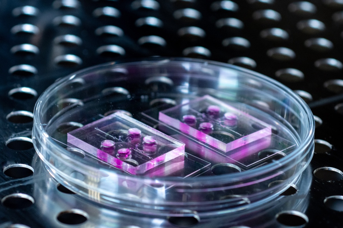 Cell Culture Facilities — photo 1