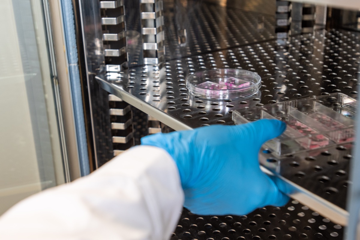 Cell Culture Facilities — photo 2