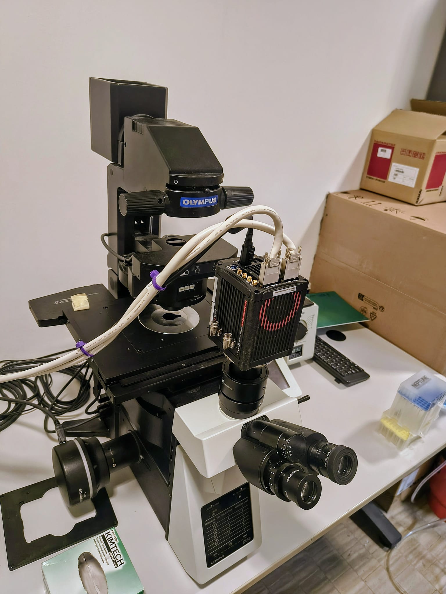 Imaging Suite — photo 2